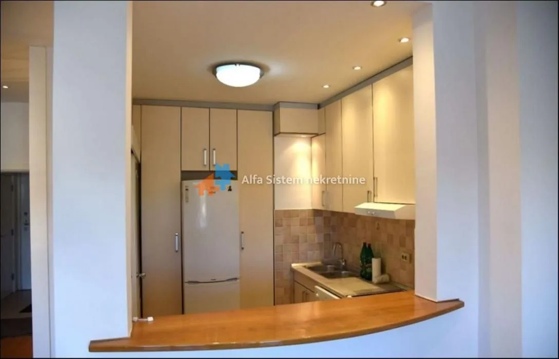 Small kitchen with light cabinets and a built-in refrigerator, viewed across a wooden bar counter.