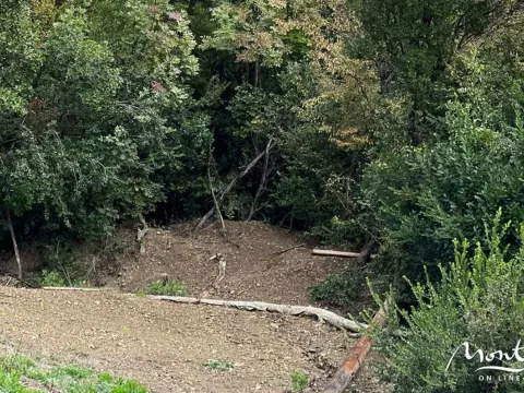 Sale, land lot, 1219m², Tivat, Crna Gora - image 2