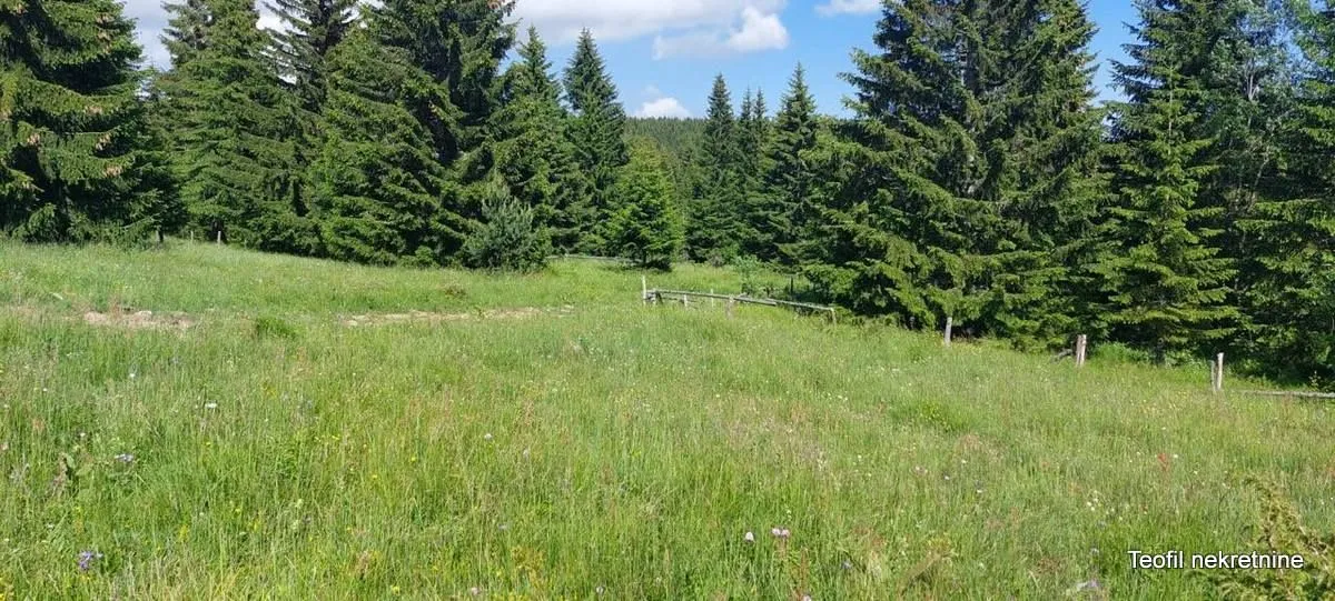 Prodaja, plac, 500m², Golija, Ivanjica