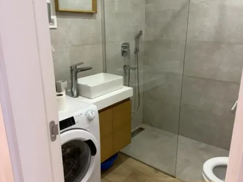 Izdavanje, dvosoban stan, 47m², Južni Bulevar, Vračar Sve Podlokacije - image 10