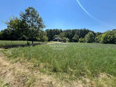 Sale, house, 47m², Petrovac na Mlavi, Srbija - image 3