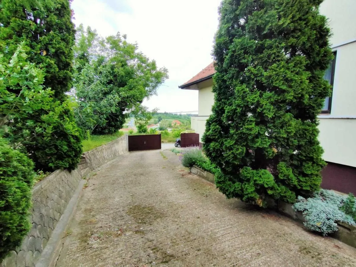 Rent, office space, 950m², Sremska Kamenica, Petrovaradin