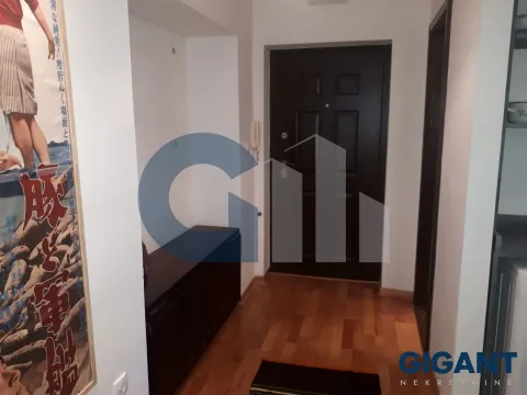 Izdavanje, dvosoban stan, 49m², Hala Pionir, Palilula Sve Podlokacije - image 16