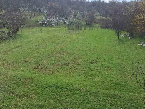 Prodaja, plac, 17000m², Podgorica, Crna Gora - image 4