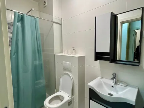 Izdavanje, jednosoban stan, 45m², Stari Aerodrom, Podgorica - image 9