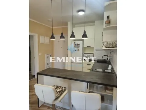 Izdavanje, dvosoban stan, 37m², Zemun Sve Podlokacije, Beograd - image 4