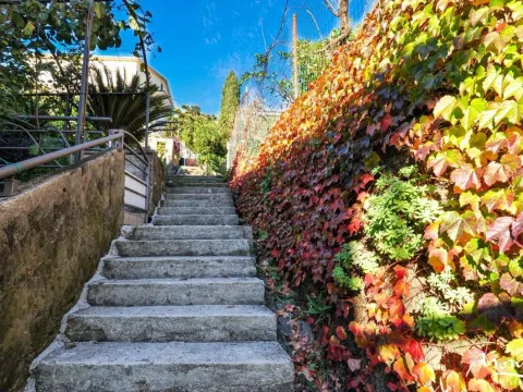 Prodaja, kuća, 288m², Budva, Crna Gora - image 3