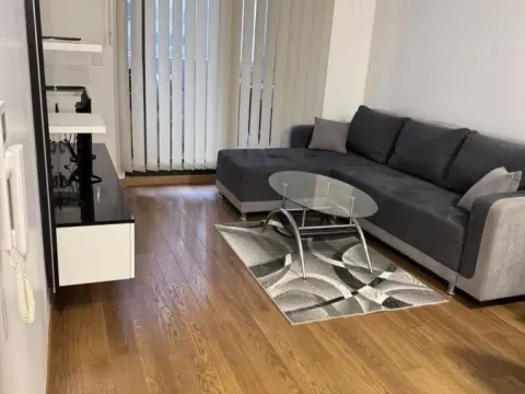 Rent, two bedroom apartment, 40m², Centar, Novi Sad - image 2