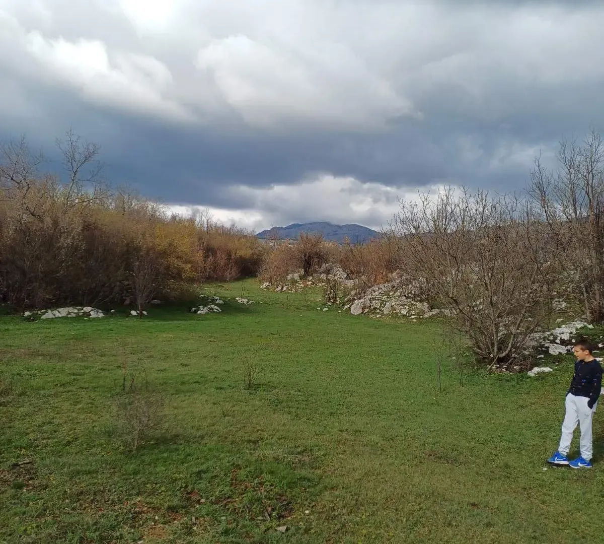 Prodaja, plac, 17000m², Podgorica, Crna Gora