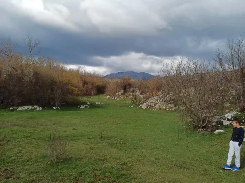 Prodaja, plac, 17000m², Podgorica, Crna Gora - image 10