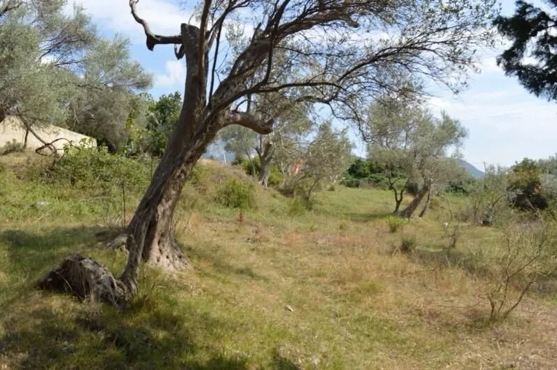 Prodaja, plac, 3000m², Velembusi, Bar