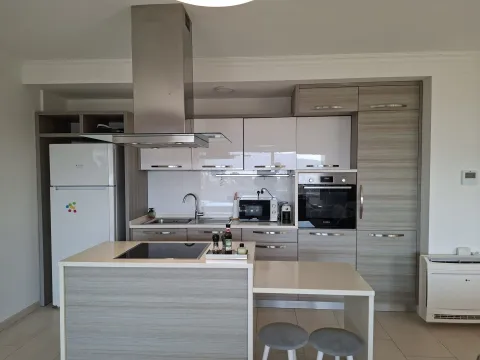 Moderna kuhinja sa šankom i ugrađenim aparatima. - image 3