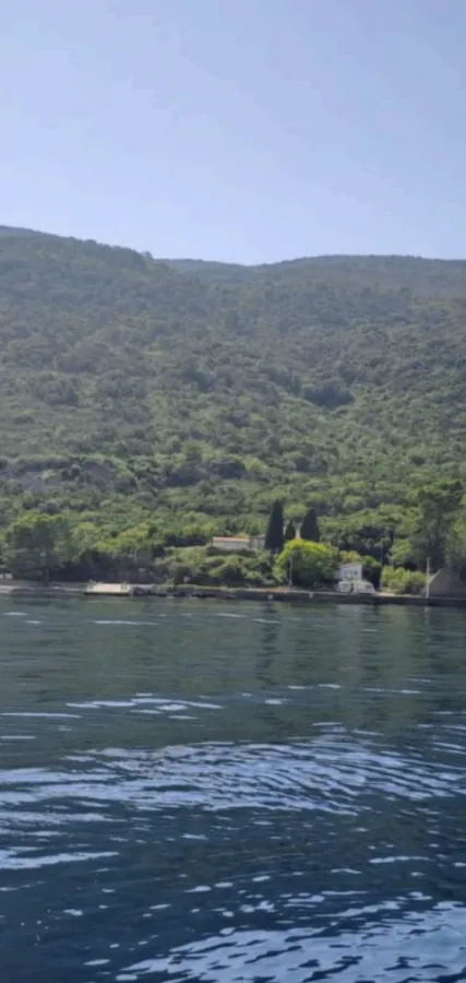 Prodaja, plac, 9500m², Krašići, Tivat