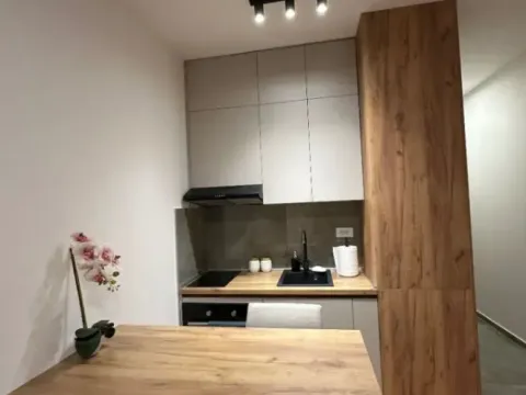 Izdavanje, stan, 28m², Zabjelo, Podgorica - image 3