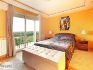 Prodaja, kuća, 460m², Arnajevo, Barajevo - image 5