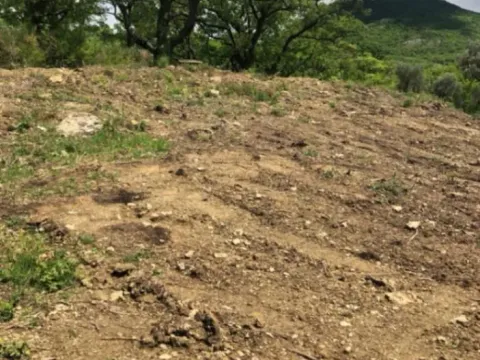 Sale, land lot, 4889m², Župci, Bar - image 9