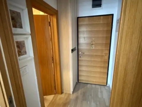 Izdavanje, jednosoban stan, 46m², Nova Dalmatinska, Podgorica - image 5