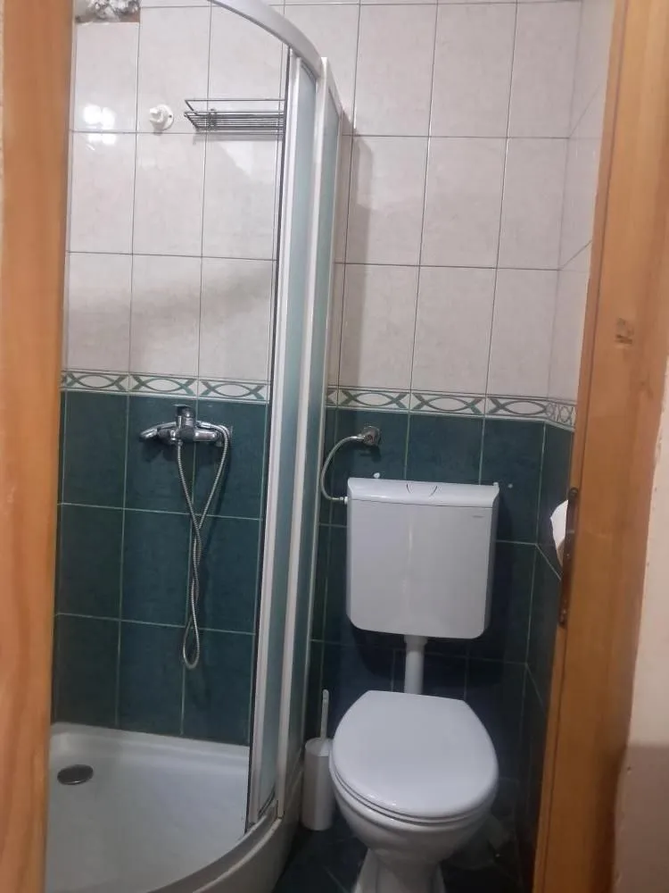 Smaller bathroom with a shower cabin and toilet.