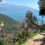 Prodaja, plac, 1000m², Baošići, Herceg Novi - image 4