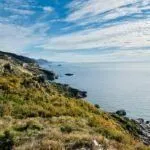 Prodaja, plac, 1500m², Sveti Stefan, Budva - image 2