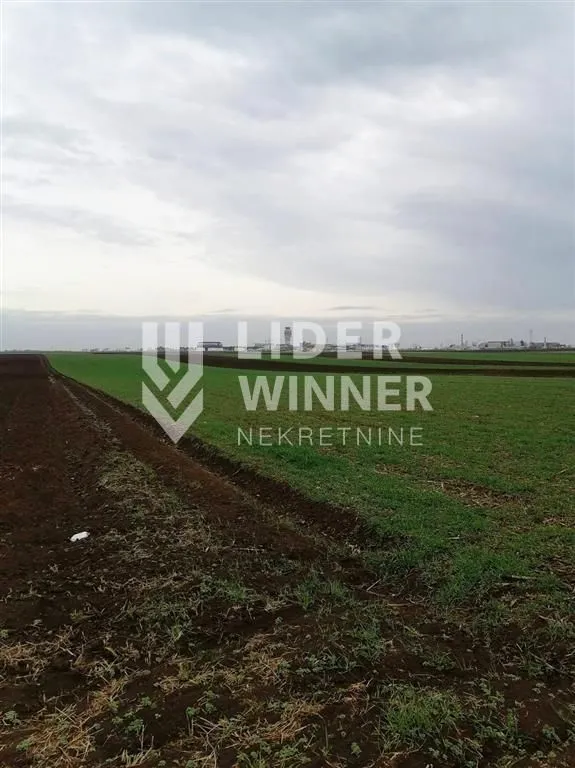 Prodaja, plac, 9765m², Surčin, Beograd