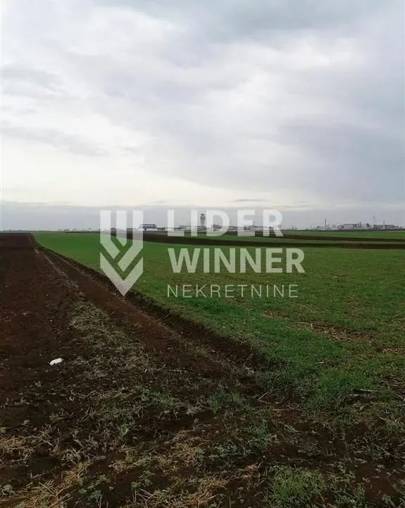 Prodaja, plac, 9765m², Surčin, Beograd