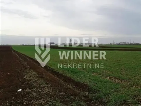 Prodaja, plac, Surčin, Beograd