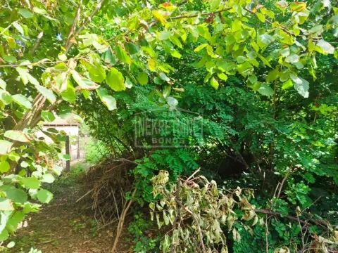 Sale, house, 163m², Železničko Naselje, Subotica - image 14