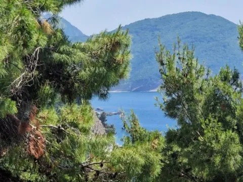 One Bedroom Apartment for Sale, 41m2, Petrovac, Budva One Bedroom Apartment for Sale, 41m2, Petrovac, Budva