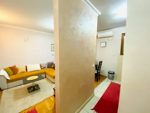 Izdavanje, jednosoban stan, 50m², Zagorič, Podgorica - image 11