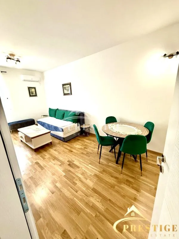 Izdavanje, jednosoban stan, 46m², Zagorič, Podgorica