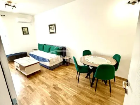 Izdavanje, jednosoban stan, 46m², Zagorič, Podgorica - image 5