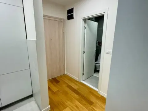 Izdavanje, jednosoban stan, 42m², Central Point, Podgorica - image 7