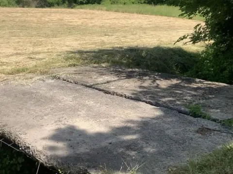 Prodaja, plac, 4650m², Podgorica, Crna Gora - image 2