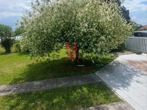 Prodaja, kuća, 250m², Sopot, Beograd - image 7