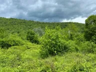 Sale, land lot, 523m², Pažići, Danilovgrad - image 4