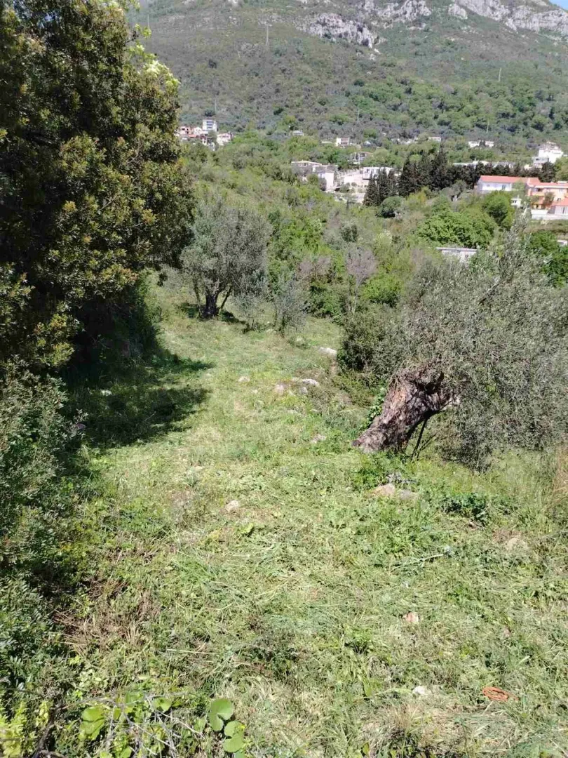 Sale, land lot, 756m², Zeleni Pojas, Bar