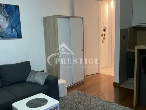 Izdavanje, garsonjera, 25m², Ljubović, Podgorica - image 8