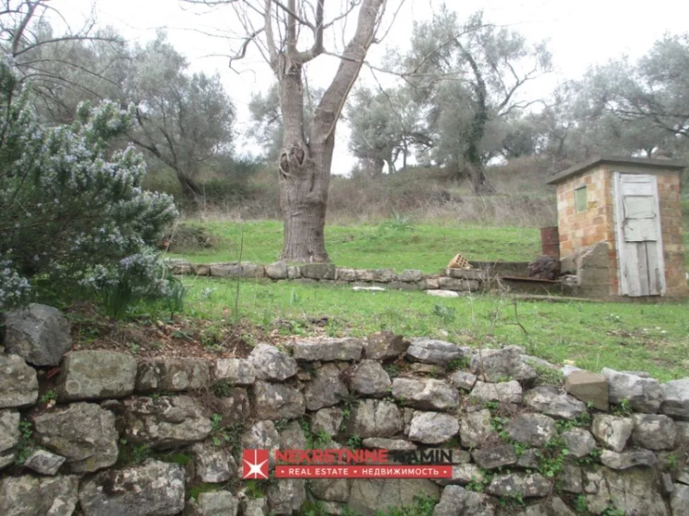 Prodaja, plac, 9000m², Mrčevac, Tivat