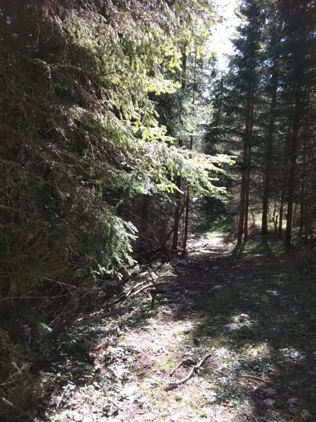 Prodaja, plac, 17803m², Žabljak, Crna Gora