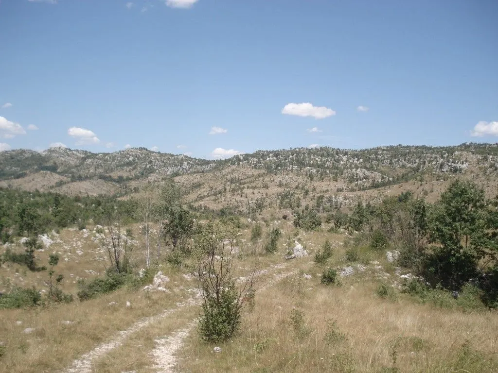 Prodaja, plac, 800000m², Cetinje, Crna Gora