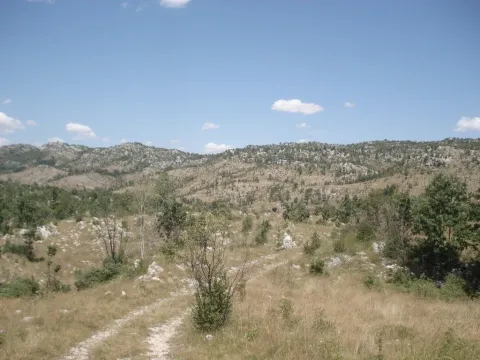 Prodaja, plac, 800000m², Cetinje, Crna Gora - image 3