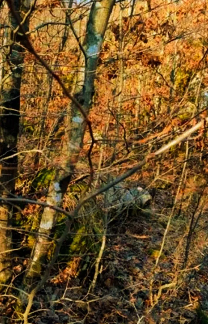 Sale, land lot, 2000m², Virpazar, Bar