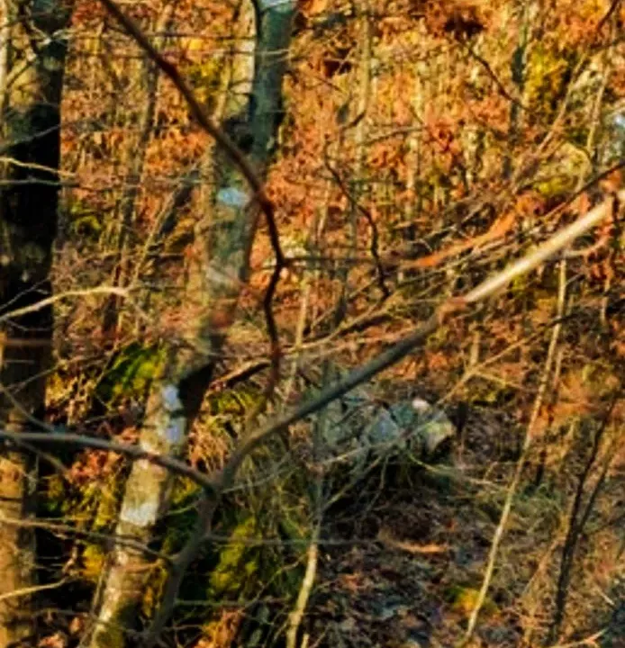 Sale, land lot, 2000m², Virpazar, Bar