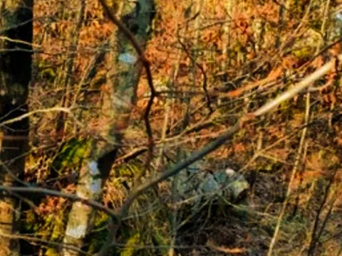 Sale, land lot, 2000m², Virpazar, Bar - image 1