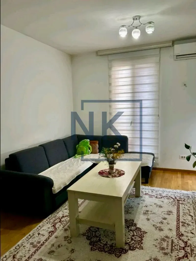 Izdavanje, jednosoban stan, 48m², Stari Aerodrom, Podgorica