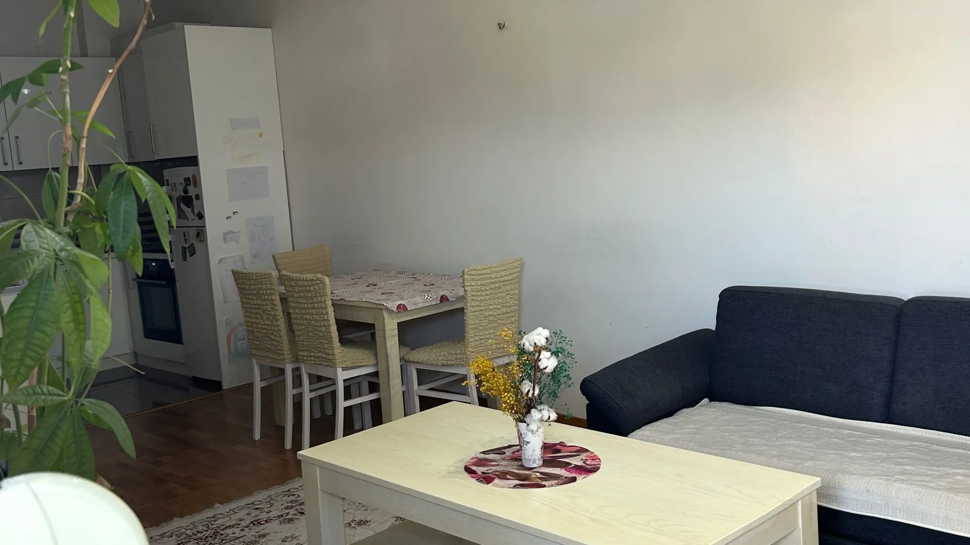 Rent, one bedroom apartment, 48m², Stari Aerodrom, Podgorica