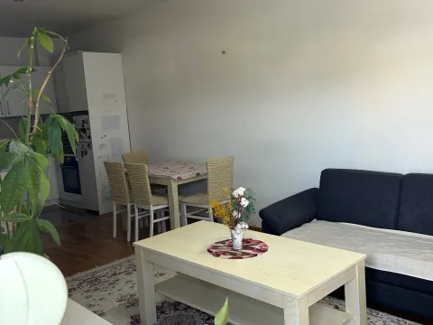 Rent, one bedroom apartment, 48m², Stari Aerodrom, Podgorica - image 6