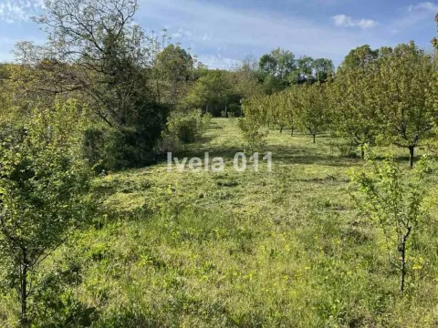 Prodaja, plac, 6200m², Grocka, Beograd - image 3