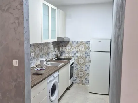 Rent, one bedroom apartment, 38m², Lion, Zvezdara Sve Podlokacije - image 4
